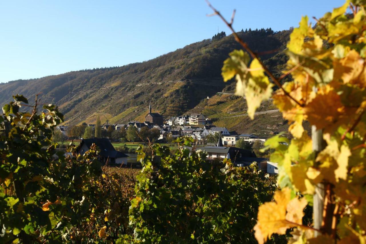 Apartment Moselblick-stein
