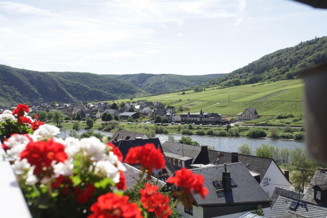Apartment Moselblick-stein *